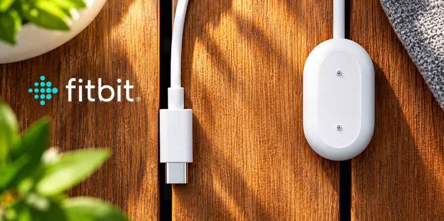 Google Fitbit Air USB-C charging cable included in the retail box